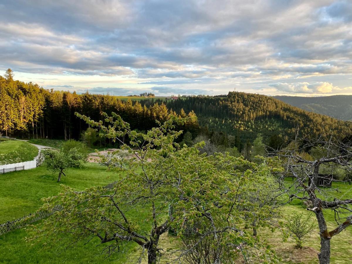 Ferienhaus Mit 5* Luxus Im Schwarzwald Gemeinde Gemeinde Aichhalden Dış mekan fotoğraf
