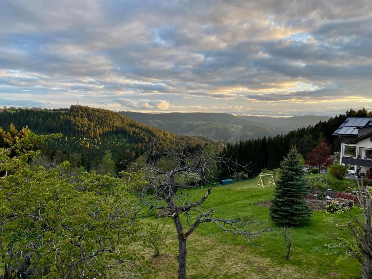Ferienhaus Mit 5* Luxus Im Schwarzwald Gemeinde Gemeinde Aichhalden Dış mekan fotoğraf