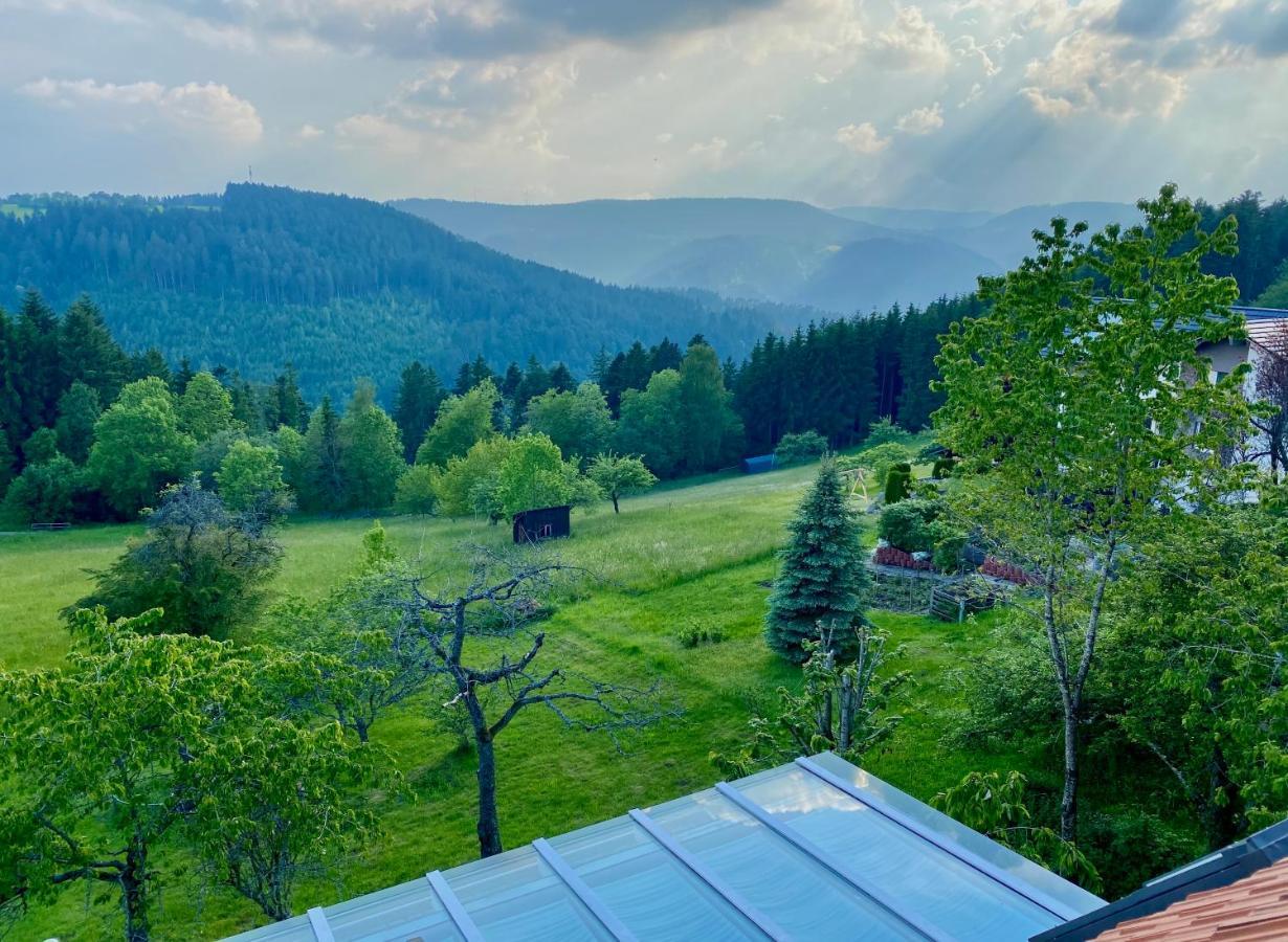 Ferienhaus Mit 5* Luxus Im Schwarzwald Gemeinde Gemeinde Aichhalden Dış mekan fotoğraf